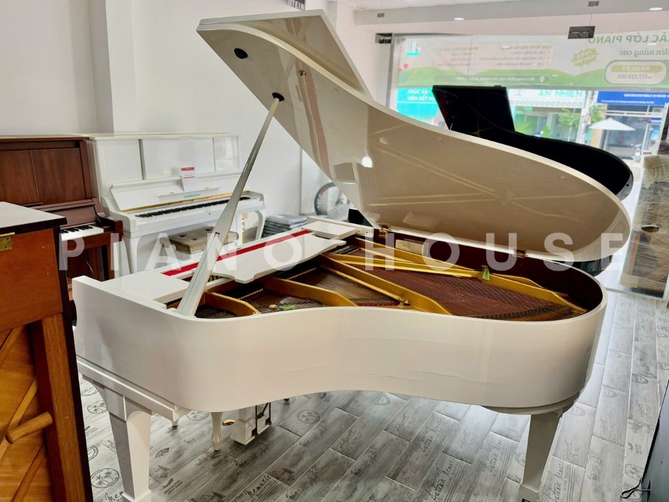 KAWAI No.500 - Góc nhìn thực tế 6